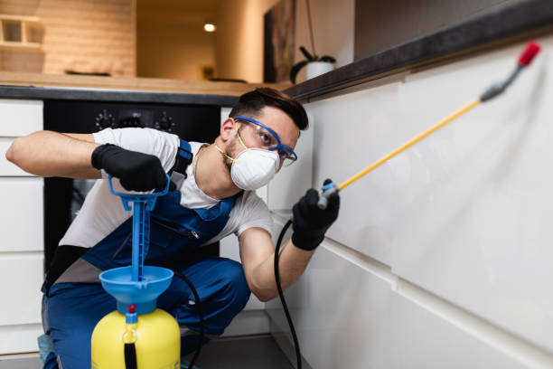 Best Wasp Removal Services  in Coopersville, MI