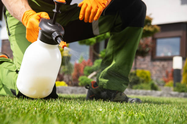 Best Pest Prevention Services  in Coopersville, MI