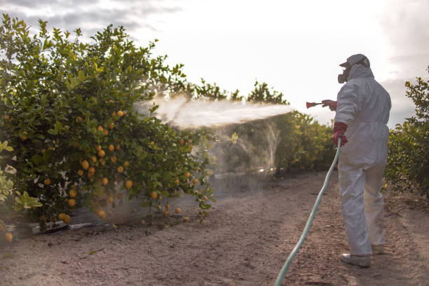  Coopersville, MI Pest Control Pros