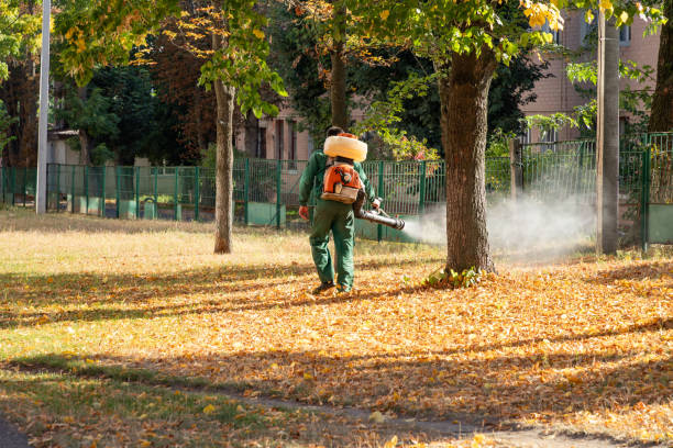 Best Rat Extermination Near Me  in Coopersville, MI