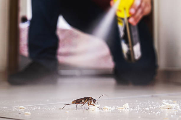 Best Mosquito Control Services  in Coopersville, MI