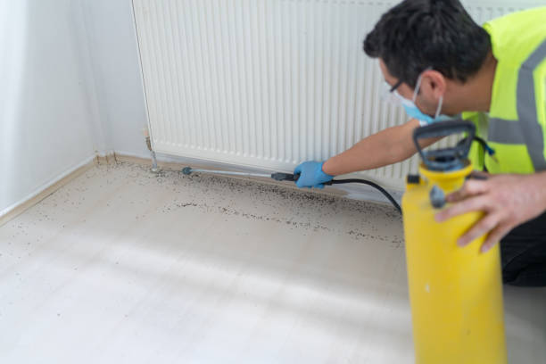 Best Flea Control Services  in Coopersville, MI