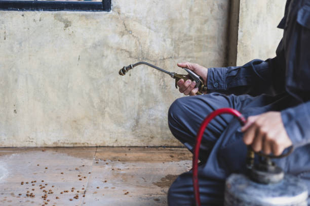 Best Affordable Exterminators  in Coopersville, MI